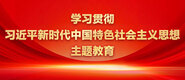 大鸡巴爆操小逼视频免费学习贯彻习近平新时代中国特色社会主义思想主题教育_fororder_ad-371X160(2)